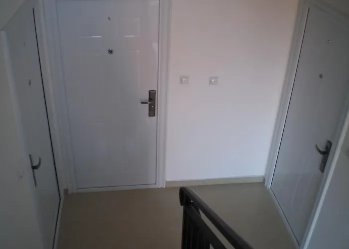 Gold ベオグラード